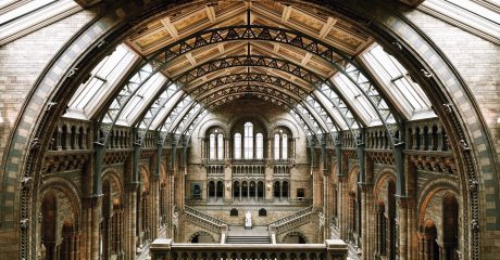 Natural History Museum of London Skip-the-Line Guided Tour – Private Tour in Spanish