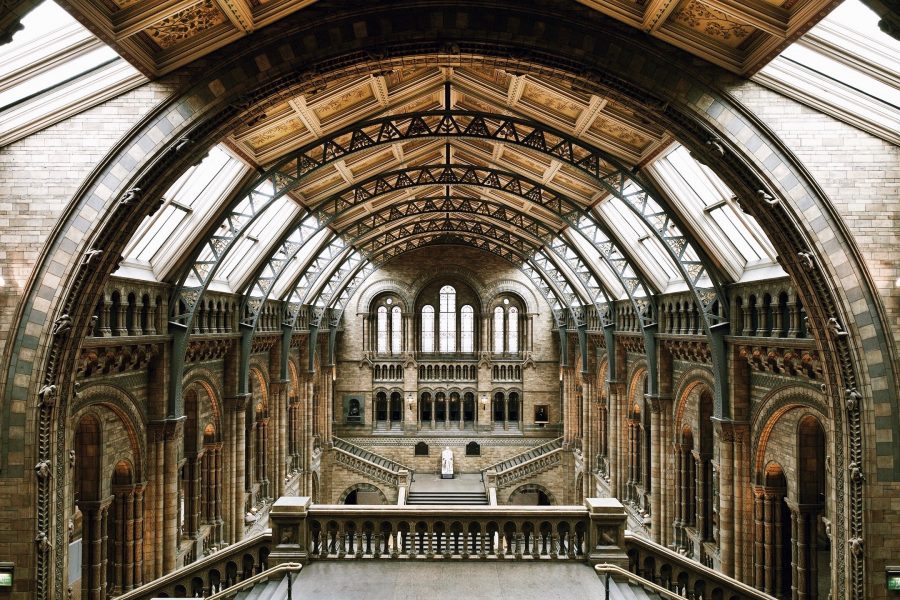 Guided-History-Natural-Museum-London