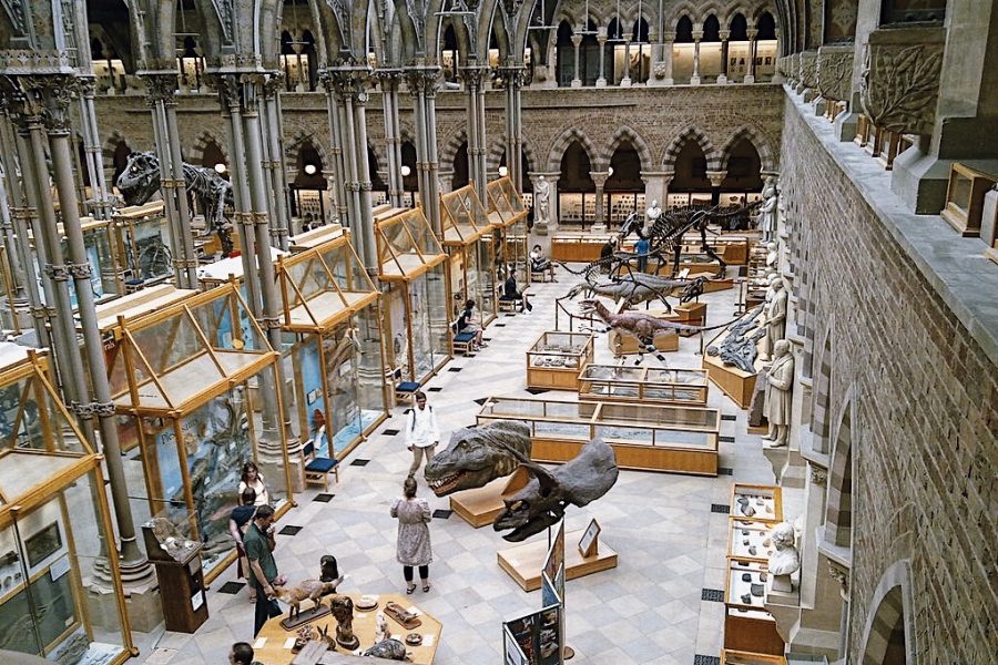 Museum-of-Natural-History-London
