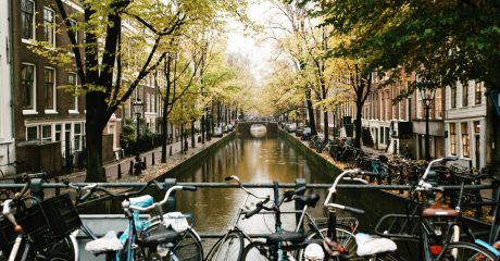 History of Amsterdam – City Center Guided Walking Tour – Private Tour in Spanish